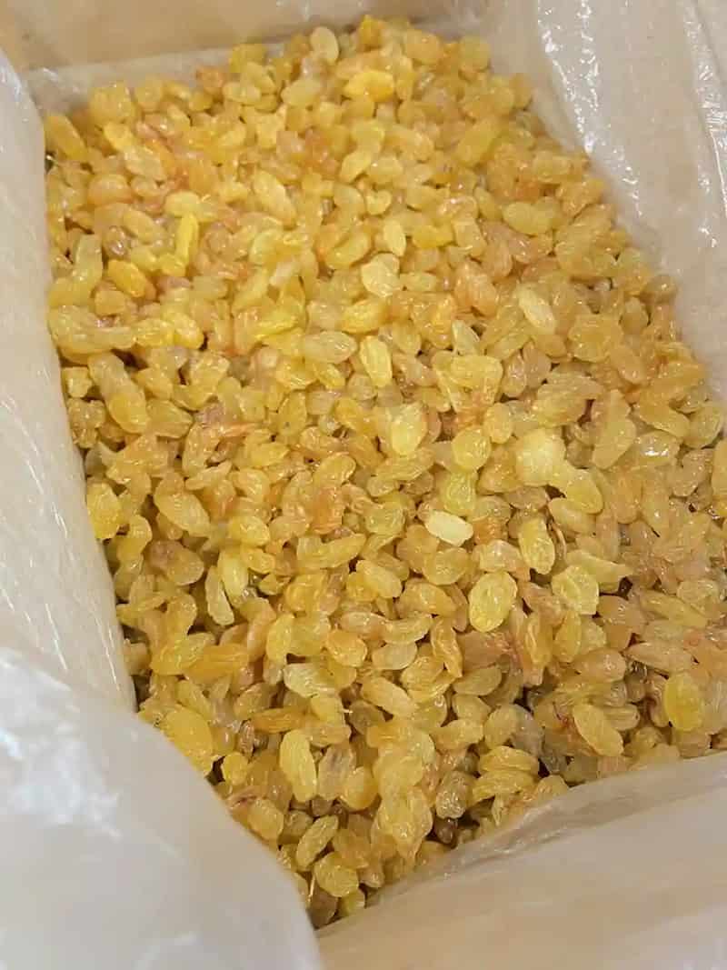 تصویر 1 از کشمش طلایی تاکستان با رنگ طلایی و بافت نرم